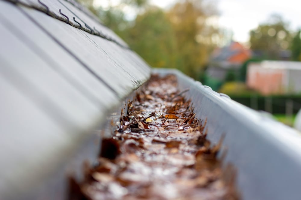 Why Proper Gutter Maintenance Is Important For Your Home'S Foundation - Shutterstock 1845041293