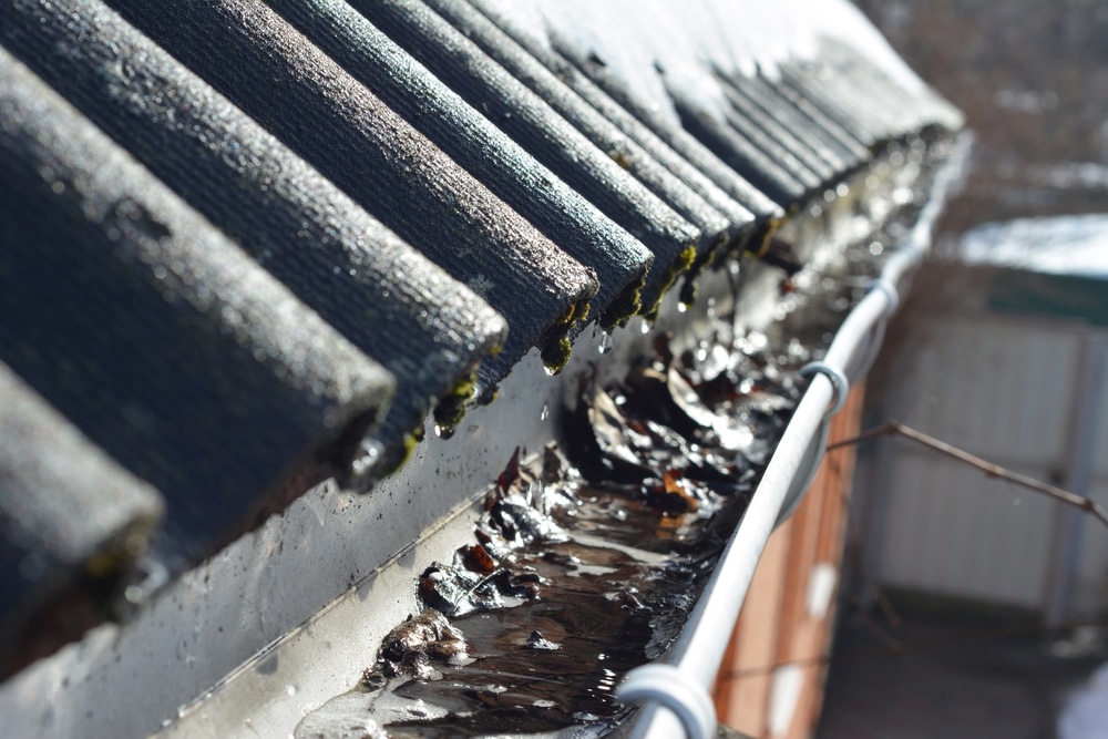 Hiring A Professional To Clean Your Gutters